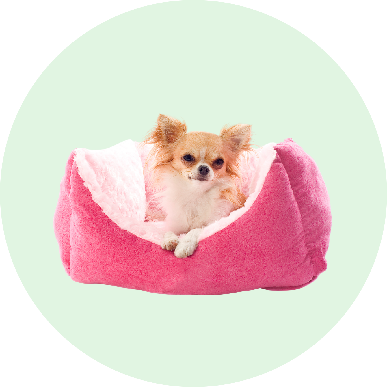 Guoliai ir komfortas