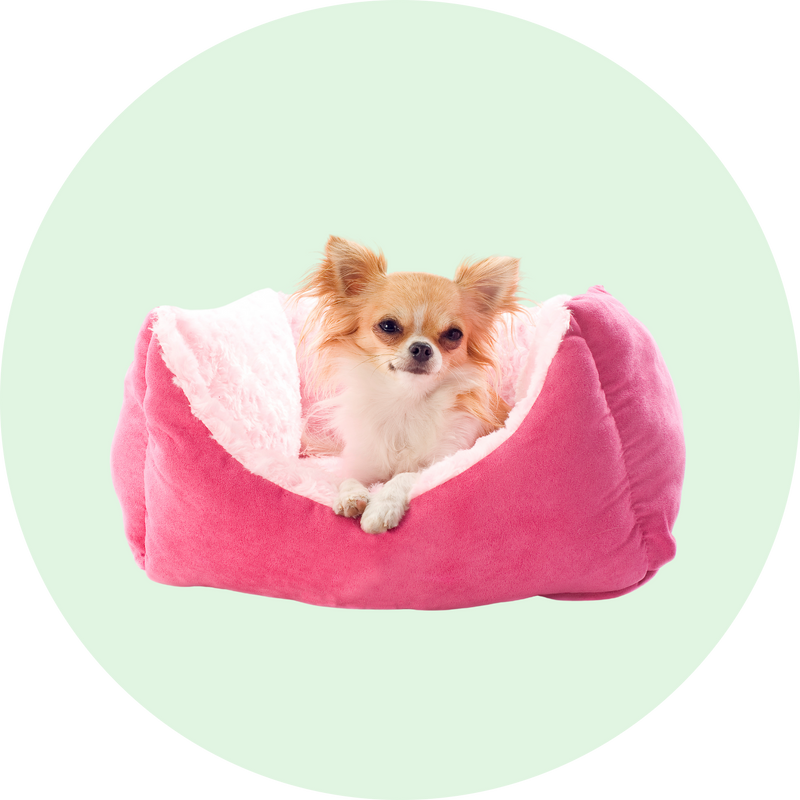 Guoliai ir komfortas