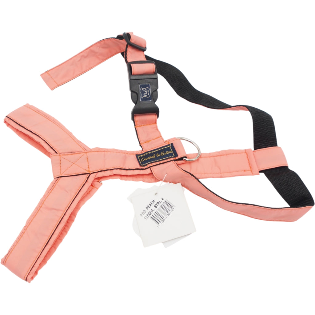 L Petnešos Gustaf & Evita